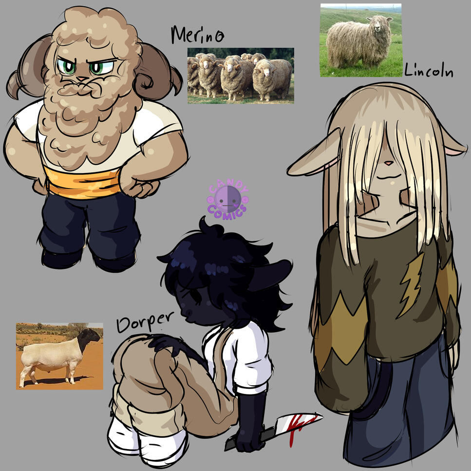 Sheep Character Design Sketches 2