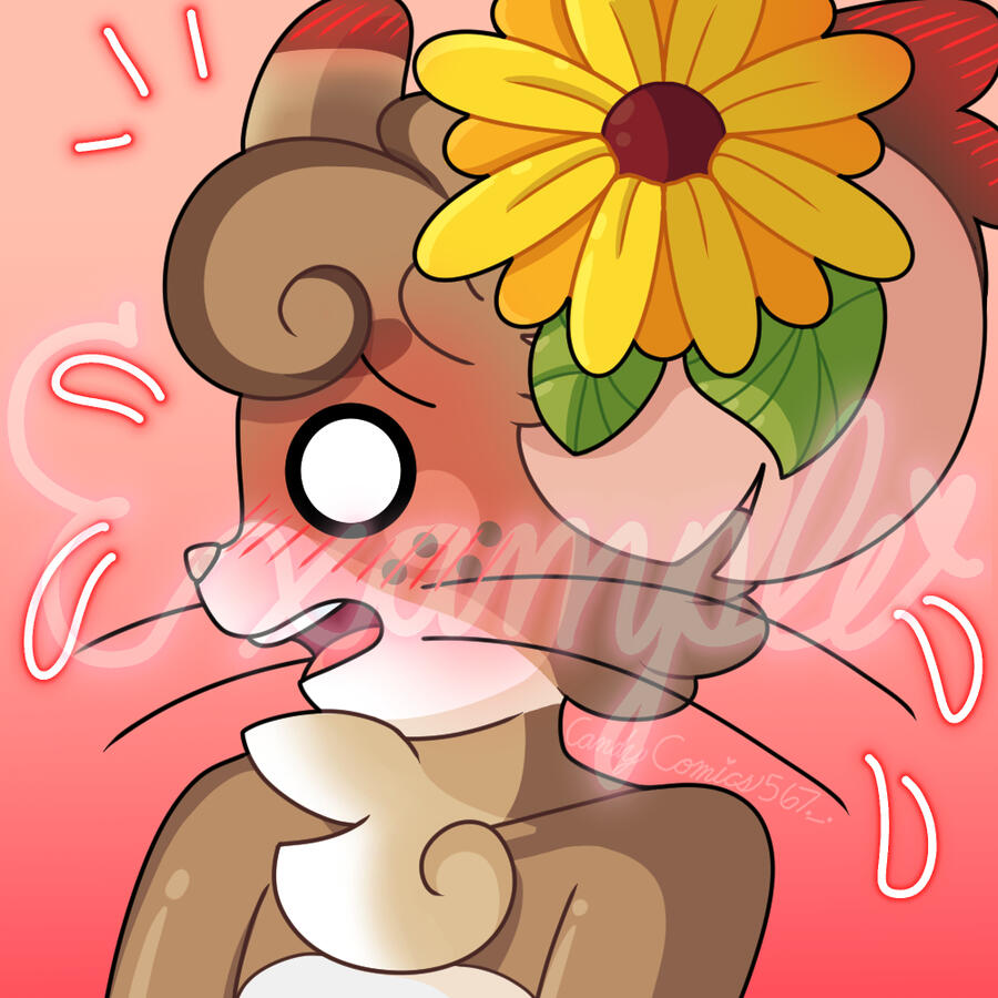 Transformice Profile Practice 3